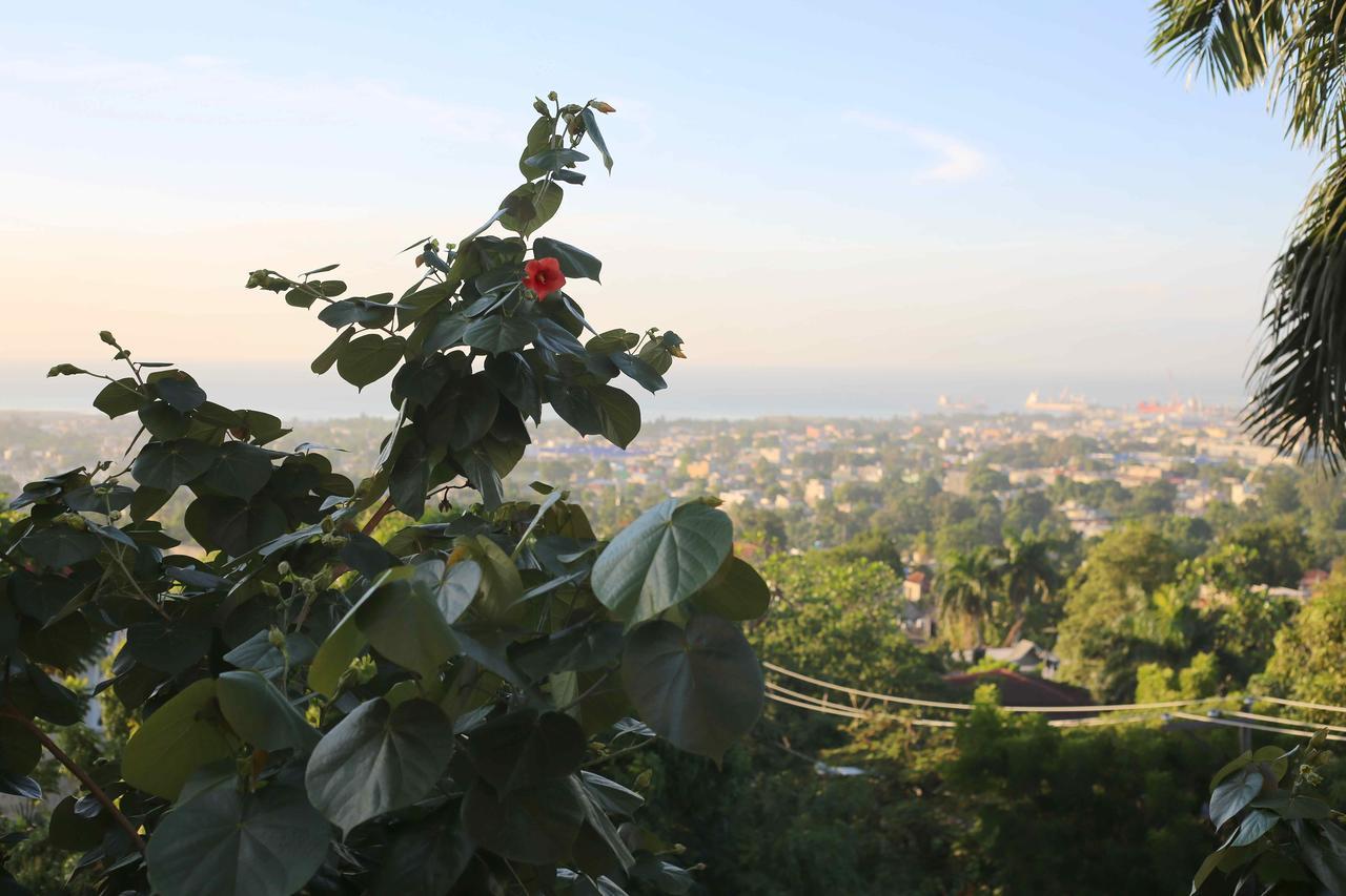 Prince Hotel Port-au-Prince Bagian luar foto